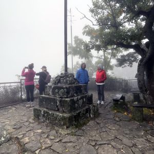 IMG_3677