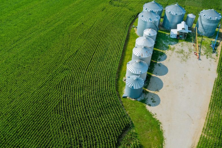 INVESTITII PROCESARE SI MARKETING PRODUSE AGRICOLE