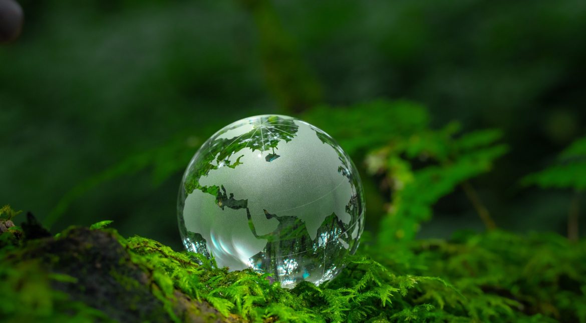 Crystal globe placed on moss ESG concept for environment Society and Governance Sustainable global