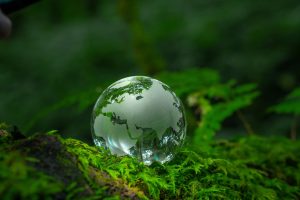 Crystal globe placed on moss ESG concept for environment Society and Governance Sustainable global
