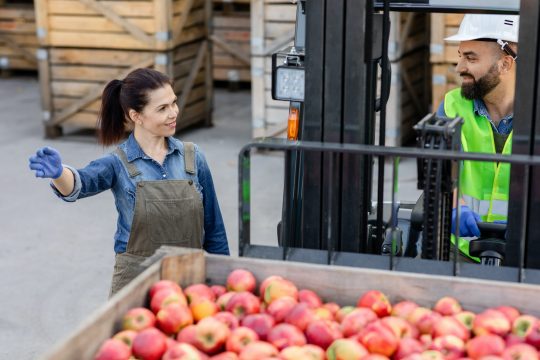 NAȚIONAL - Investiții în condiționarea, depozitarea și procesarea produselor agricole și pomicole