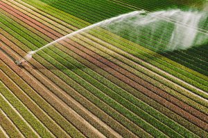 Irrigation