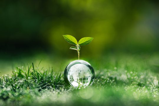 PTJ Sprijin pentru microîntreprinderi: Apelul se lansează pe 1 iulie