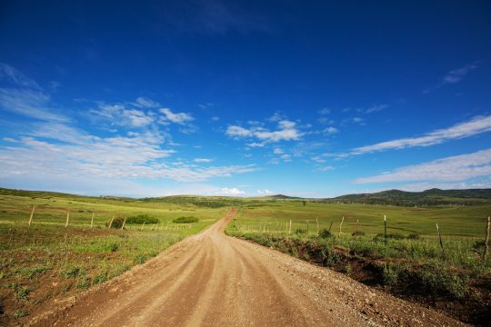 Road in field