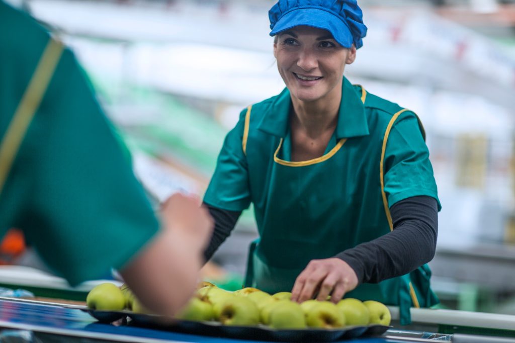 afir-a-fost-publicat-ghidul-final-pentru-investitii-in-procesarea-si-marketingul-produselor-agricole