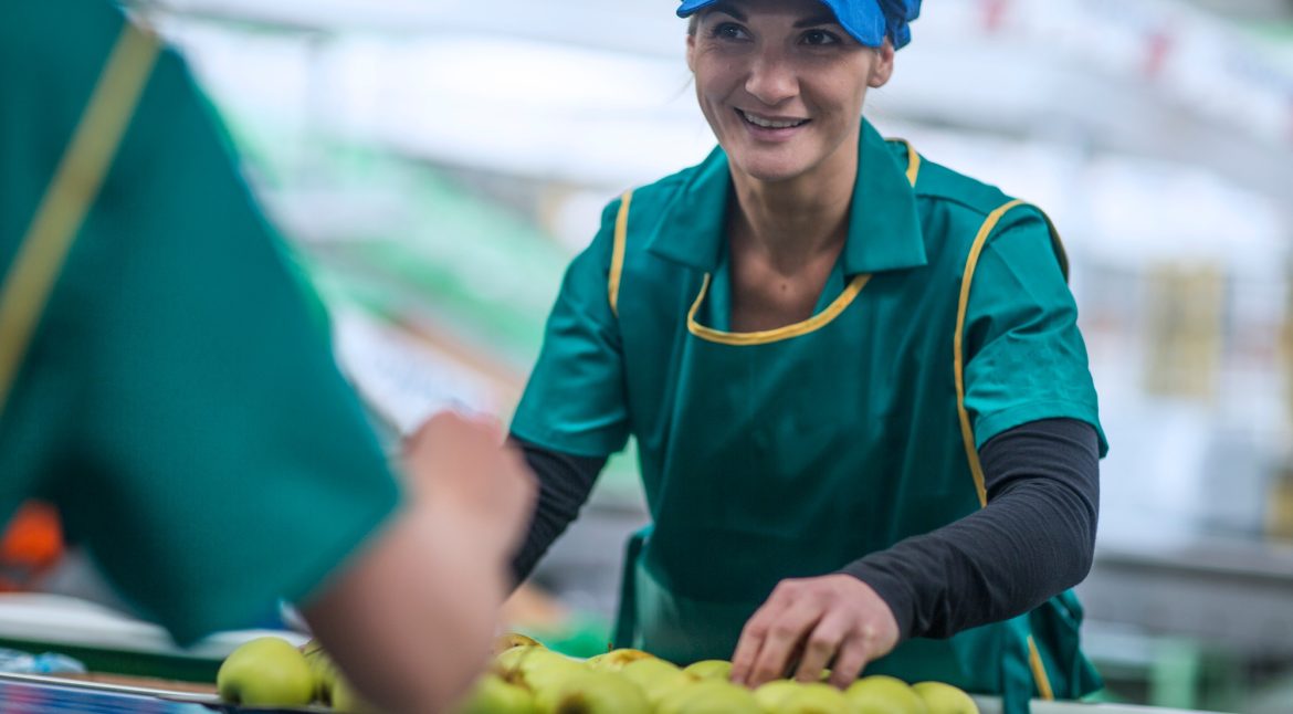 afir-a-fost-publicat-ghidul-final-pentru-investitii-in-procesarea-si-marketingul-produselor-agricole