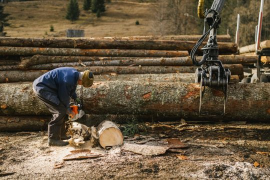 investitii tehnologii forestiere